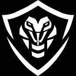 Black Cobra VPN