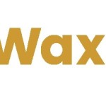 wax paper