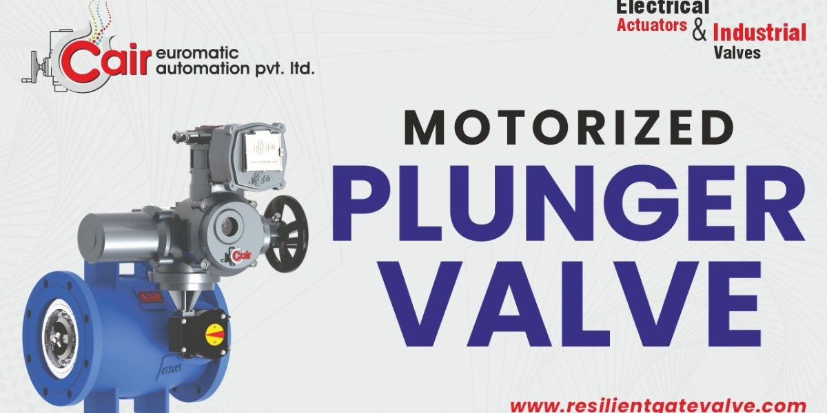 What Is a Plunger Valve? Working, Features & Industrial Uses