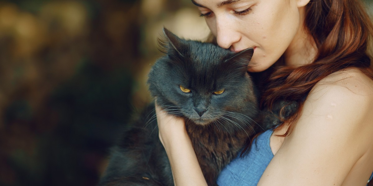 Wild Creature Healing for Natural Balance and Animal Wellness