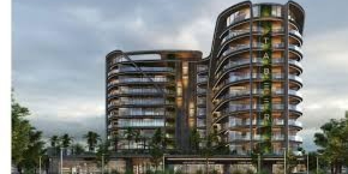 Tabeer and the Leading Property Developers in Dubai: Building the City of the Future