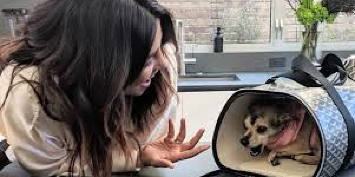 Rustic Pet Furniture That Doubles as Home Décor