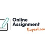 Online Assignment Expert